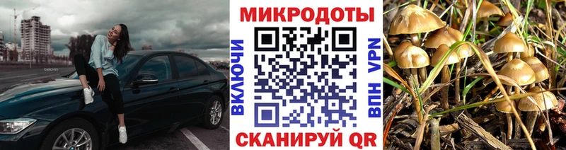 Галлюциногенные грибы Cubensis  kraken ссылки  Муром 