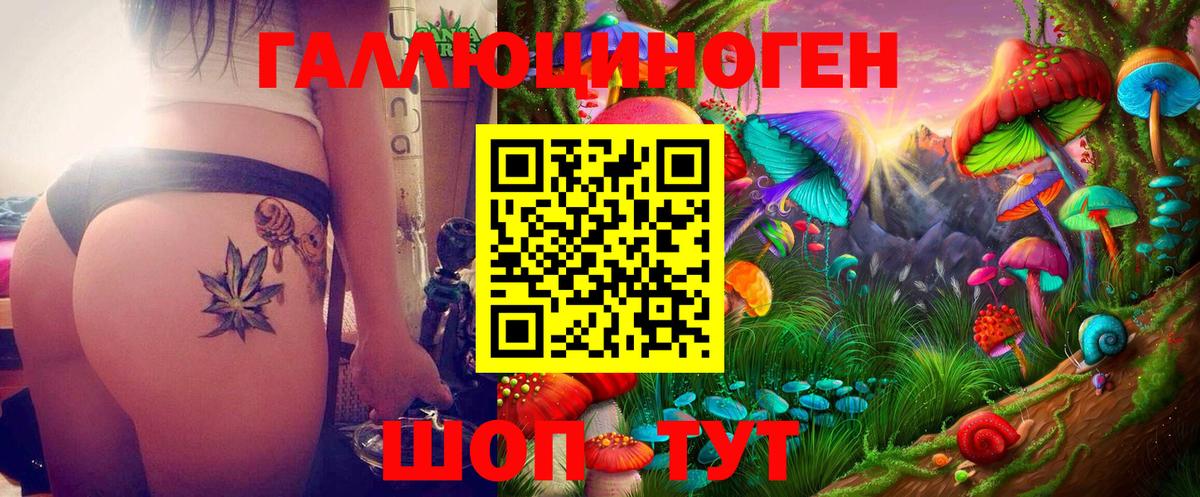 Муром  Псилоцибиновые грибы Psilocybine cubensis  Вход с VPN 