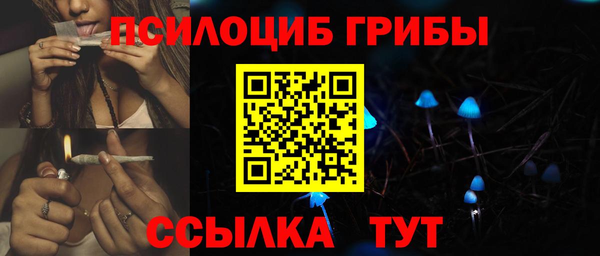 ГАШ Муром